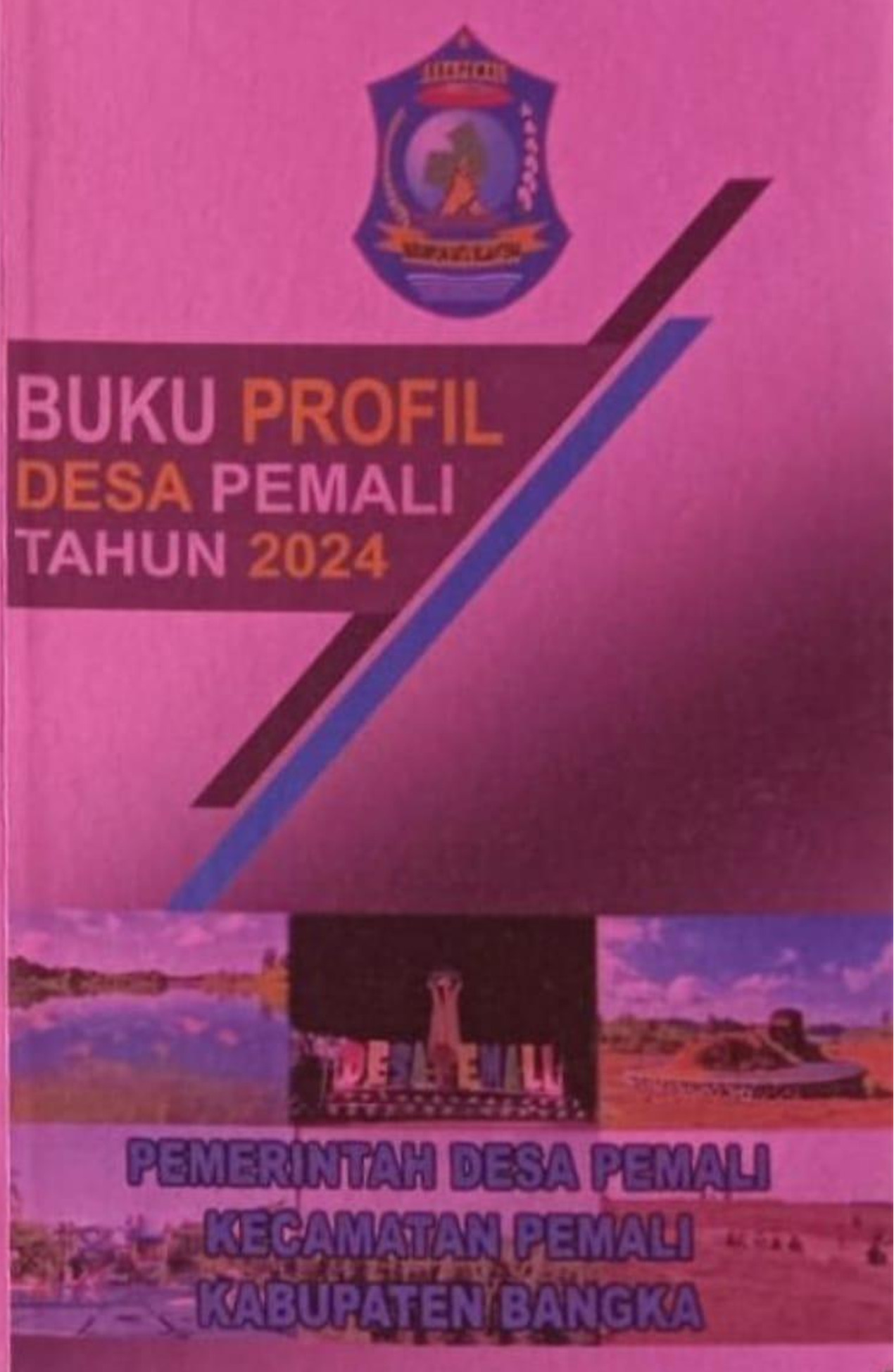 Cover Profil Desa Pemali Tahun 2024